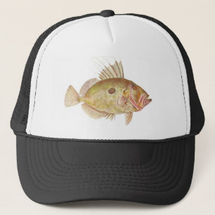 Fisk - John Dory - Zeus faber Keps