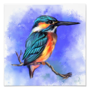 Fisk Kingfisher Bird Photo Print Fototryck