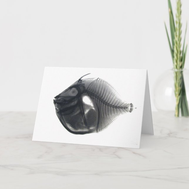 Fisk Kort (Framsida)