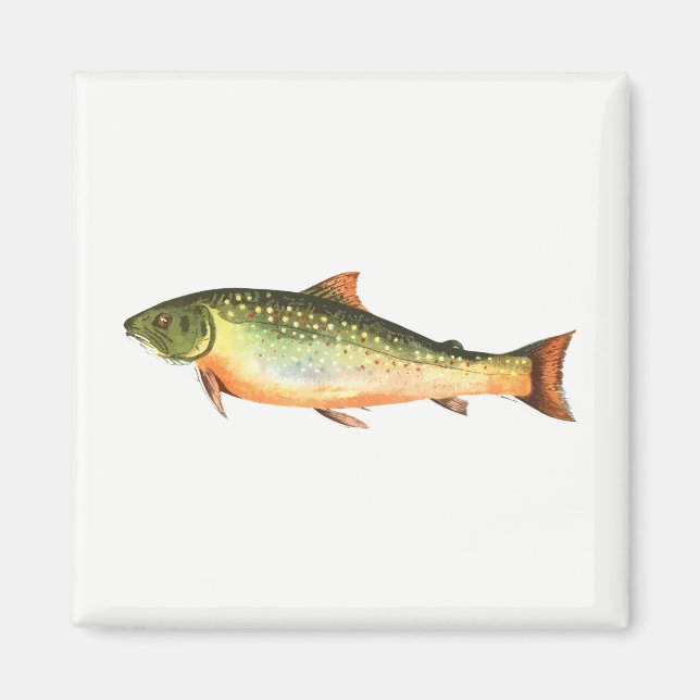 Fisk Magnet (Framsidan)