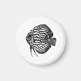Fisk magnet