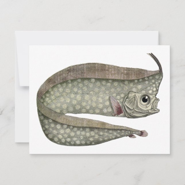 Fisk med tofs, gammal marin akvatisk fauna (Framsida)