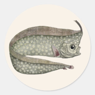 Fisk med tofs, gammal marin akvatisk fauna runt klistermärke