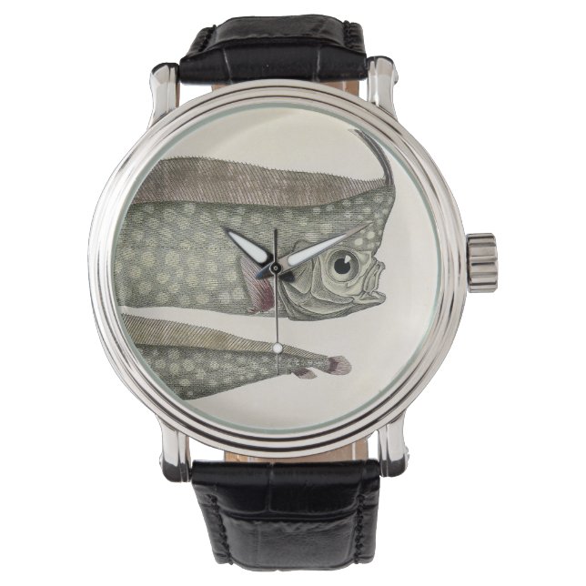 Fisk med tofs, Regalecus glesne, Marin akvatisk li Armbandsur (Framsida)