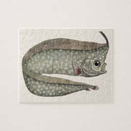 Fisk med tofs, Regalecus glesne, Marin akvatisk li Pussel