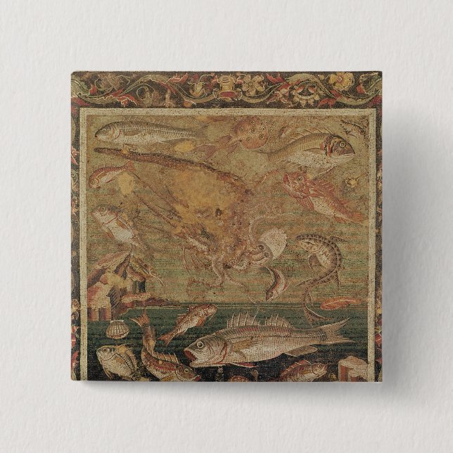 Fisk, Molluscs och Crustacea Knapp (Framsida)