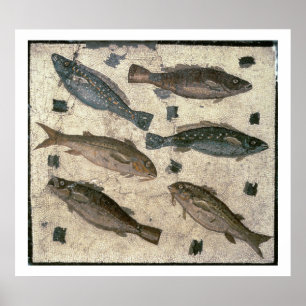 Fisk (mosaik) poster