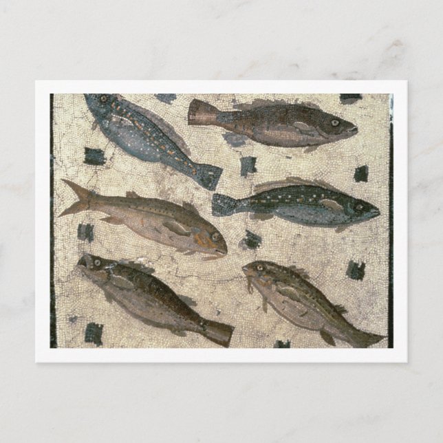 Fisk (mosaik) vykort (Framsida)