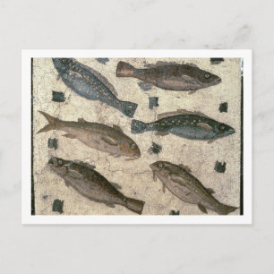 Fisk (mosaik) vykort