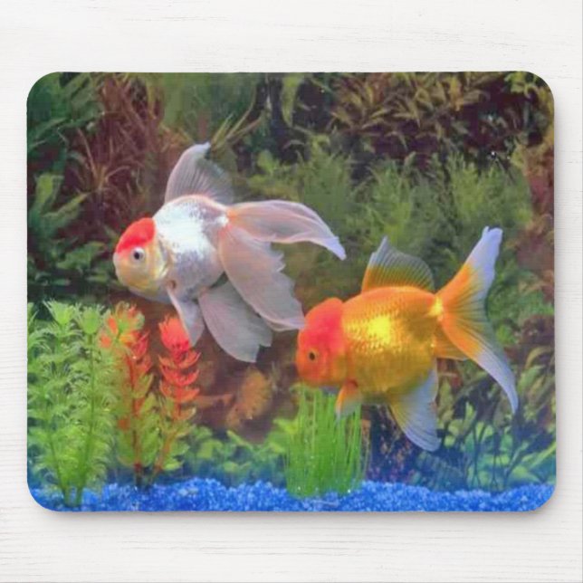 Fisk Mousepad Musmatta (Framsidan)