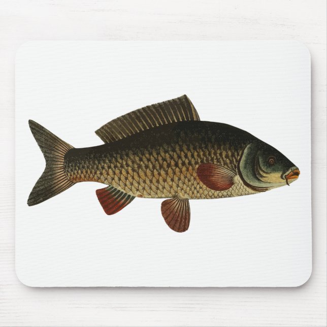 Fisk Musmatta (Framsidan)