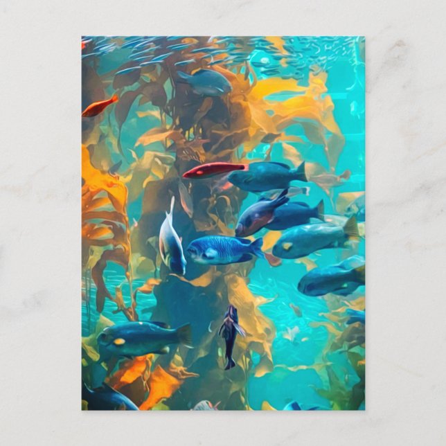 Fisk och Sjögräs Vykort (Framsida)