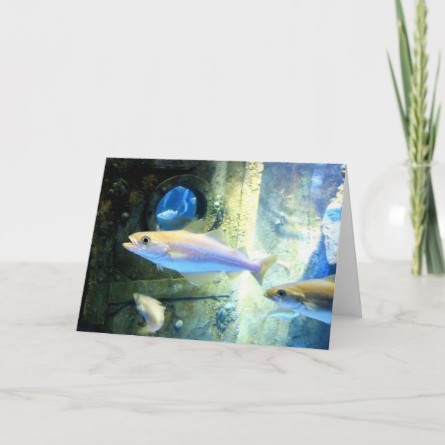 Fisk och tonfisk helgkort (Framsida)