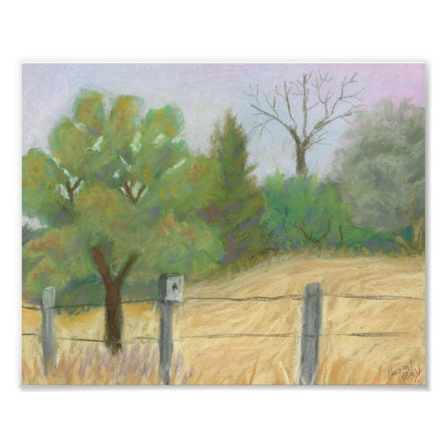 Fisk och vilda djur fototryck (Framsidan)