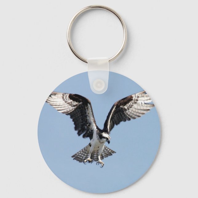 Fisk Osprey-fågel som söker efter be Nyckelring (Framsida)