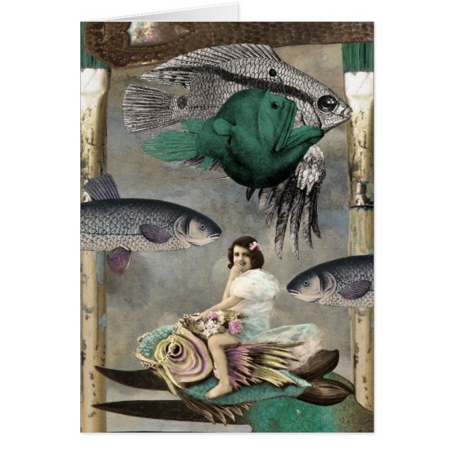 Fisk överallt OBS kort (Framsidan)