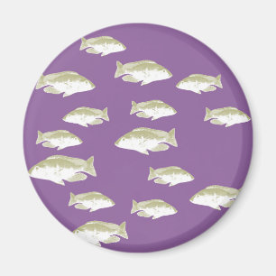 Fisk på lila magnet