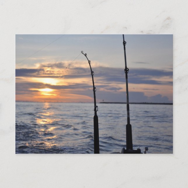 Fisk på! vykort (Framsida)