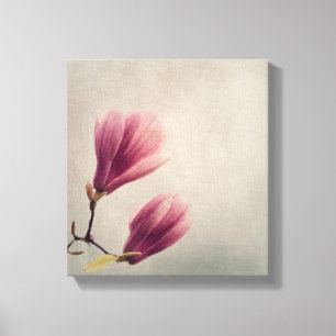 Fisk pastellagnolia-blomma canvastryck