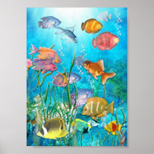 Fisk Poster