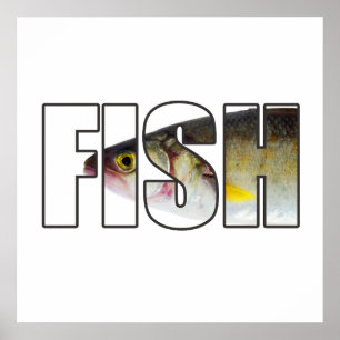 Fisk Poster
