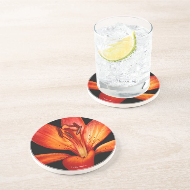 Fisk röd Orange Asiatic Lily Gran Paradiso Underlägg (Sidan)