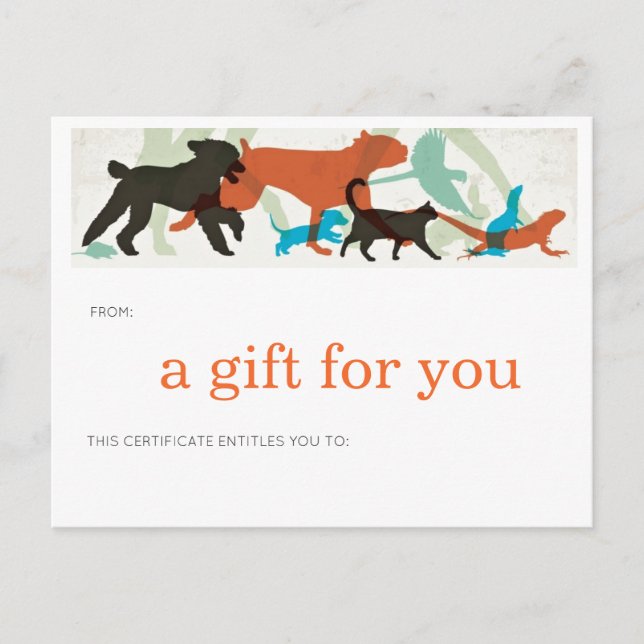 Fisk Simma Birds Fly Hundar Walk Pet Sitter Vykort (Framsida)