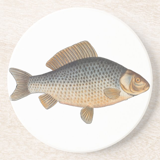 Fisk som fiskar färskvatten underlägg sandsten (Framsidan)