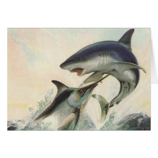 Fisk - svart marlin- & Makohaj Hälsningskort