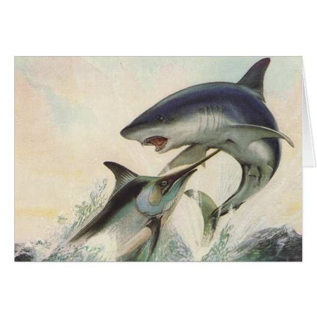 Fisk - svart marlin- & Makohaj Hälsningskort (Framsidan Horizontal)