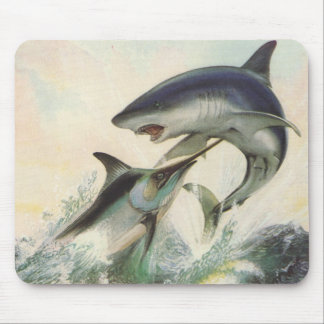Fisk - svart marlin- & Makohaj Musmatta