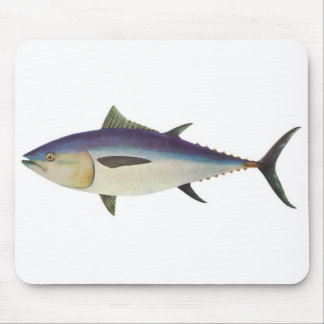 Fisk - sydlig Bluefintonfisk - Thunnusmaccoyii Musmatta