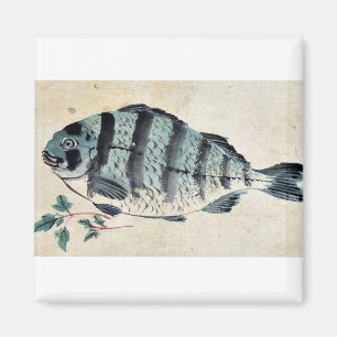 Fisk Ukiyo-e. Magnet