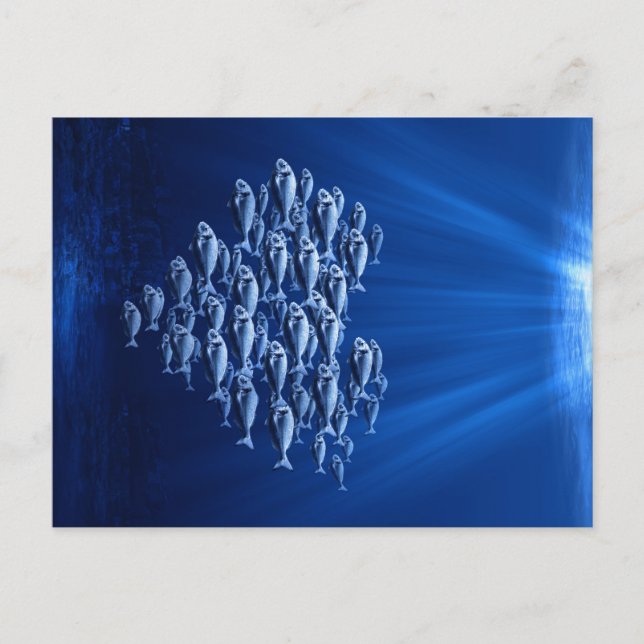 fisk under vatten hjärta vykort (Framsida)