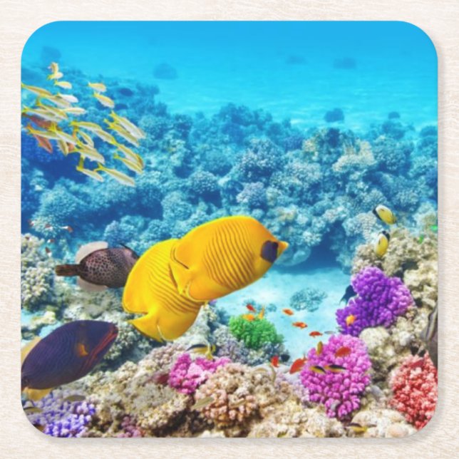 Fisk Underlägg uppsättning (Framsidan)