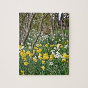 Fisk vår-daffodilträdgård pussel