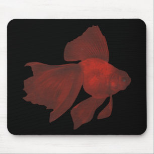 Fisk - Veiltail guldfisk - Carassiusauratus Musmatta