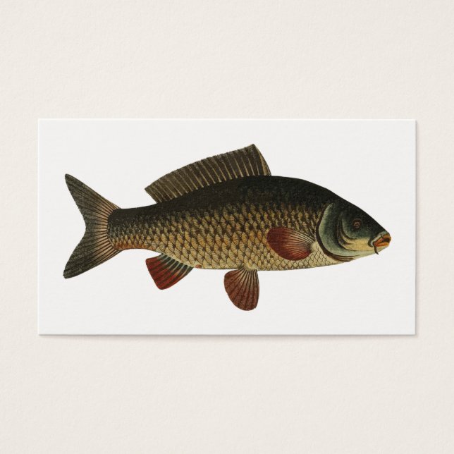 Fisk Visitkort (Framsidan)