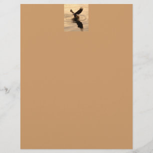 Fiskande havsörn på Tan Wildlife-papper