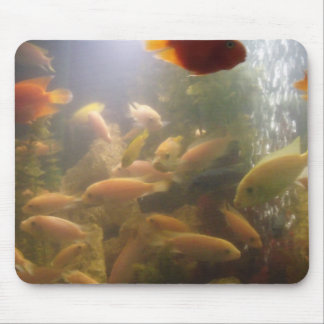 Fiskar i en fisktank Mousepad Musmatta