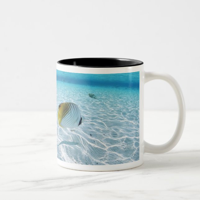 Fiskar i havet 2 Två-Tonad mugg (Höger)