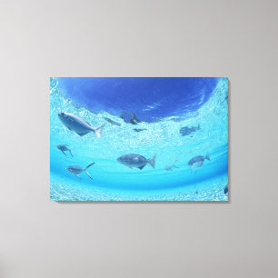 Fiskar i havet 3 canvastryck