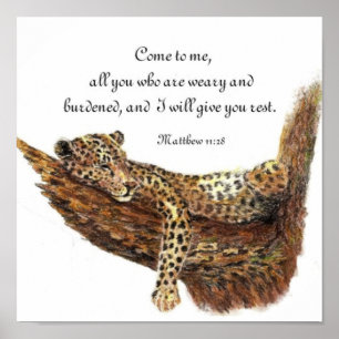 Fiskare i Manar, skript, inspiration, leopard Poster