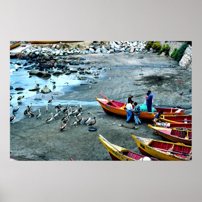 Fiskare och pelikaner, Valparaiso, Chile Poster (Framsidan)