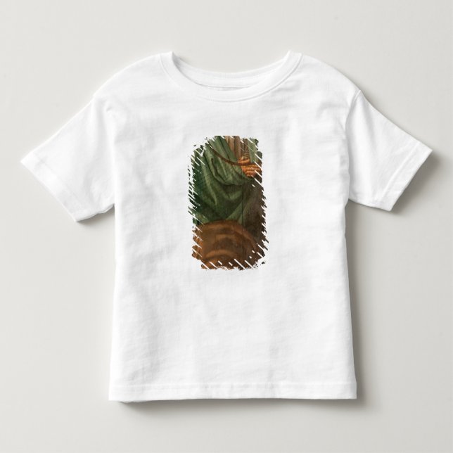 Fiskarna, från Polyptychen av St. T Shirt (Framsida)