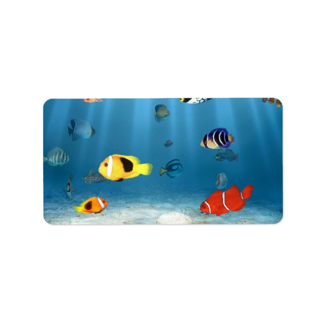 Fiskarnas hav adressetikett (Framsidan)