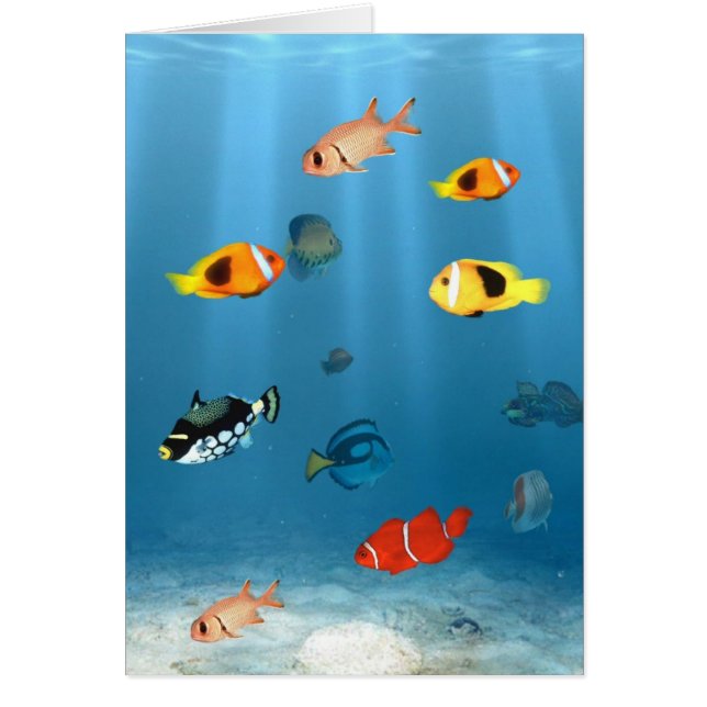 Fiskarnas hav OBS kort (Framsidan)