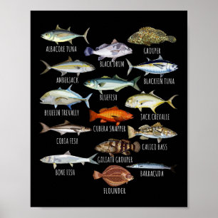 Fiskarter Biologi Typer av saltvatten fisk Fishi Poster