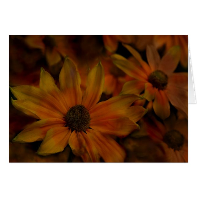 Fiskbäckblommar Hälsningskort (Framsidan Horizontal)