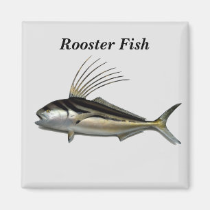 Fiskbakgrund i tupp magnet